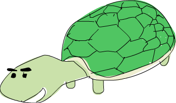 turtle???